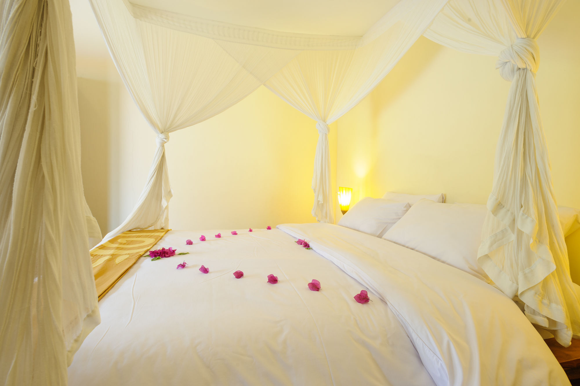Alizee Villa Seminyak (Bali)