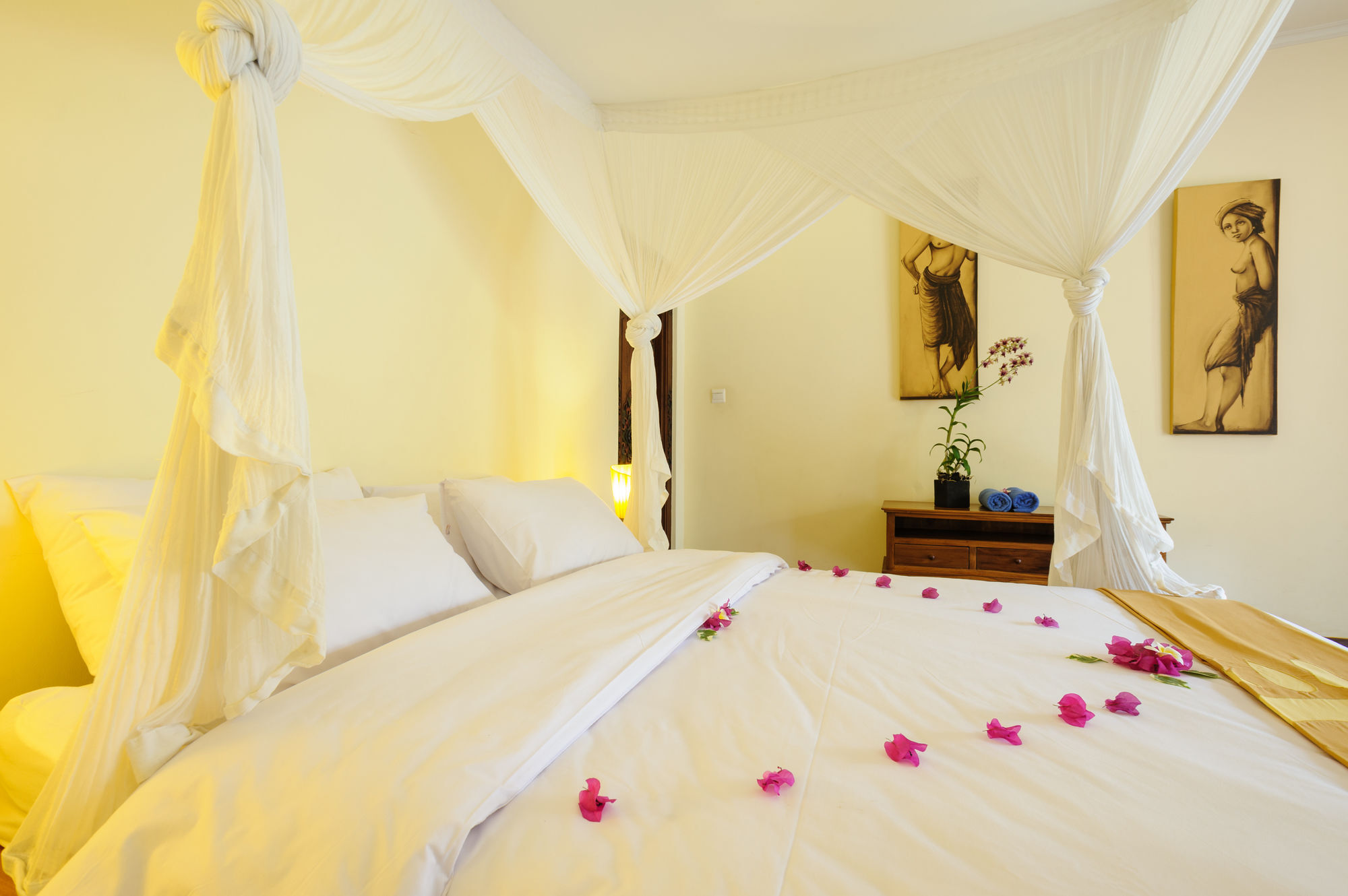Alizee Villa *